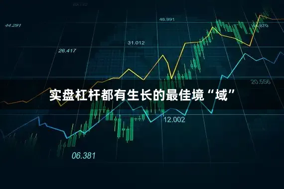 实盘杠杆都有生长的最佳境“域”
