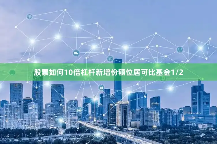 股票如何10倍杠杆新增份额位居可比基金1/2