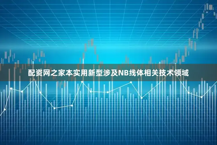 配资网之家本实用新型涉及NB线体相关技术领域