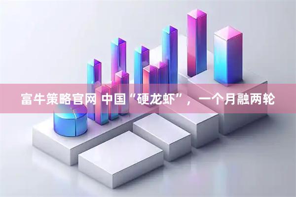 富牛策略官网 中国“硬龙虾”，一个月融两轮