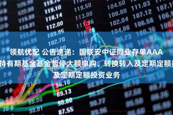 领航优配 公告速递：国联安中证同业存单AAA指数7天持有期基金基金暂停大额申购、转换转入及定期定额投资业务