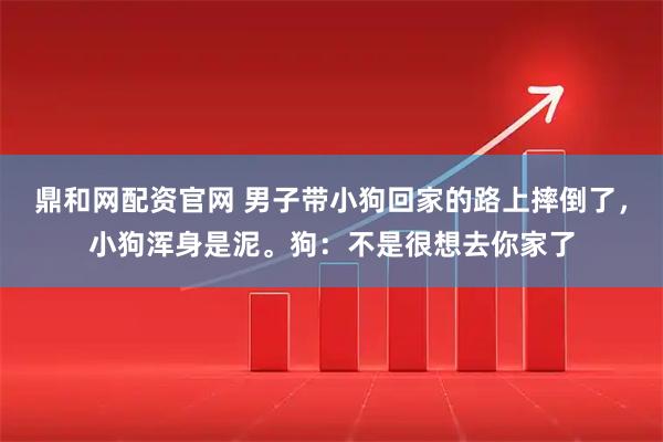 鼎和网配资官网 男子带小狗回家的路上摔倒了，小狗浑身是泥。狗：不是很想去你家了