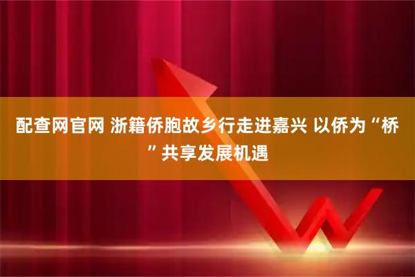 配查网官网 浙籍侨胞故乡行走进嘉兴 以侨为“桥”共享发展机遇